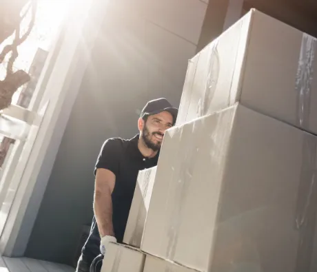 Chicago mover move box